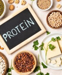 The Top 10 High-Protein Vegetarian Foods to Fuel Your Day | Adda27